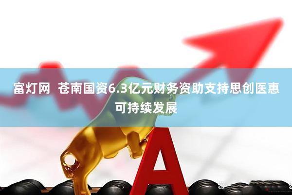 富灯网  苍南国资6.3亿元财务资助支持思创医惠可持续发展
