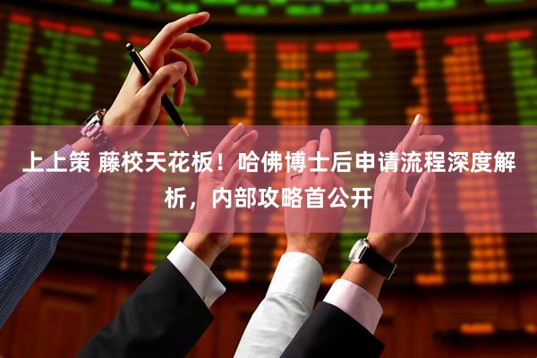 上上策 藤校天花板！哈佛博士后申请流程深度解析，内部攻略首公开