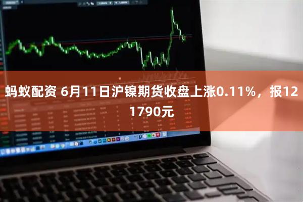 蚂蚁配资 6月11日沪镍期货收盘上涨0.11%，报121790元